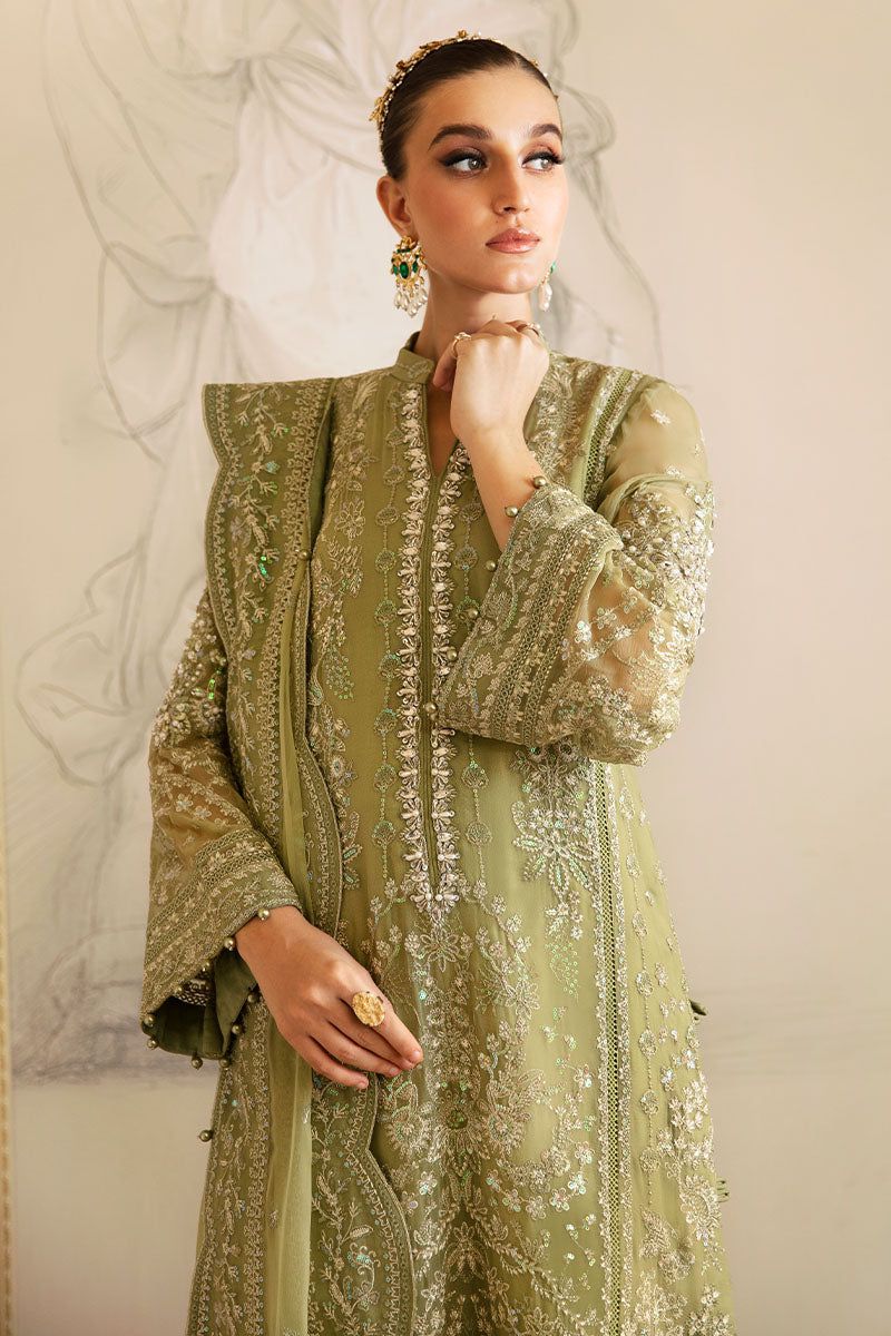 Pure Chiffon Elegant Embroidered Dress : WW209