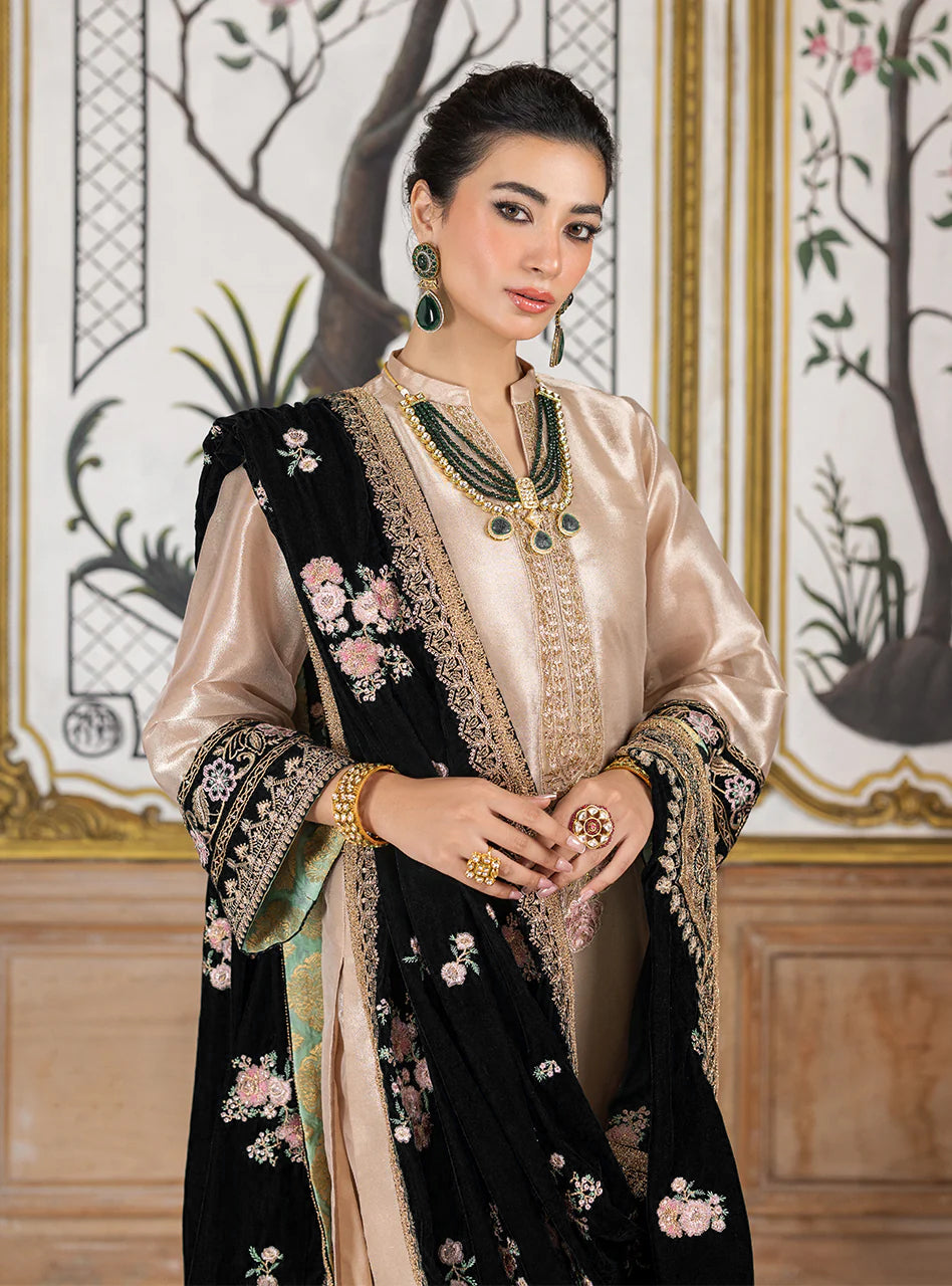 Pure Mysoori Embroidered Dress With Pure Velvet Shawl - VC002