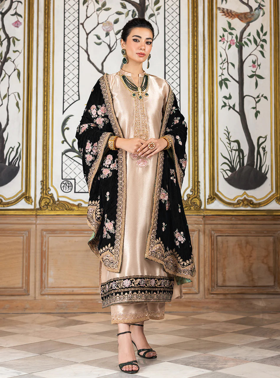 Pure Mysoori Embroidered Dress With Pure Velvet Shawl - VC002