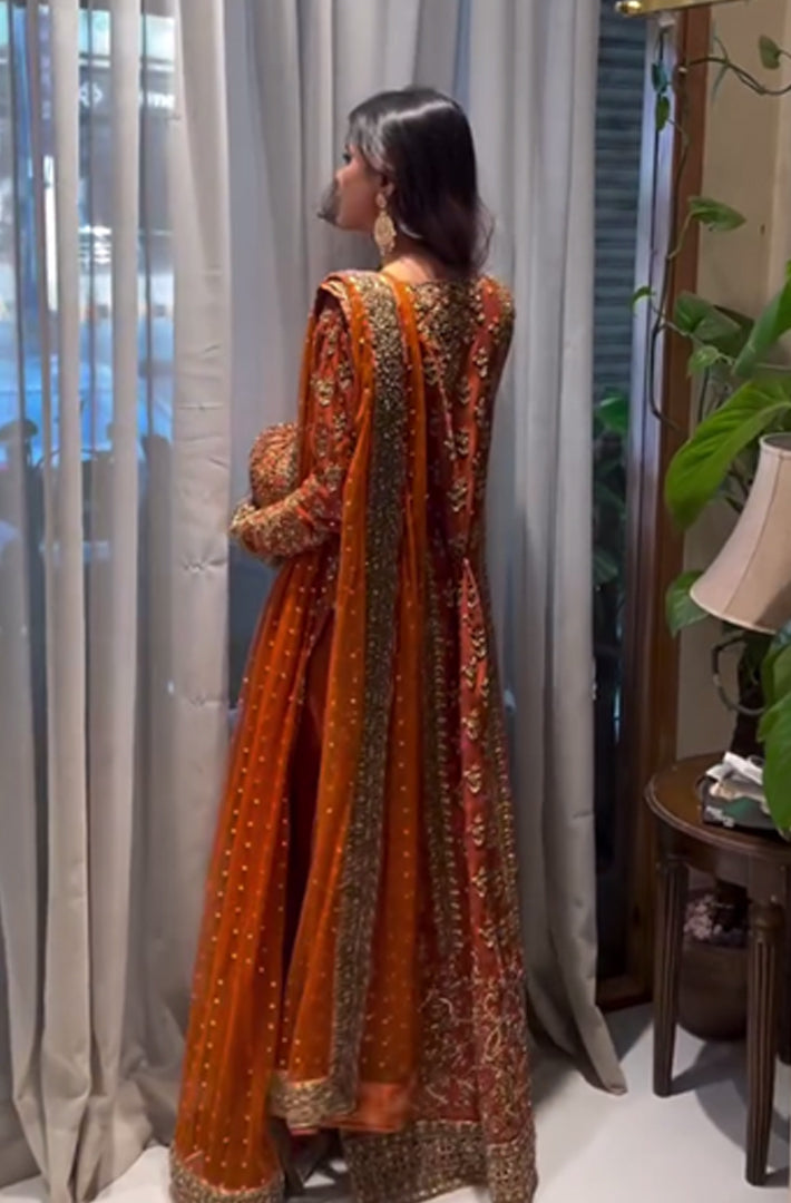 Pure Chiffon Rust Embroidered Dress - WW287