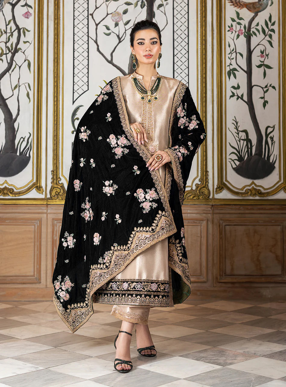 Pure Mysoori Embroidered Dress With Pure Velvet Shawl - VC002