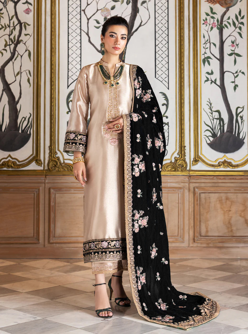 Pure Mysoori Embroidered Dress With Pure Velvet Shawl - VC002