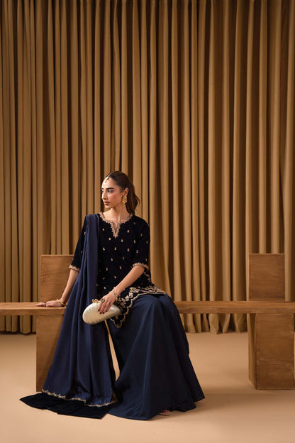Pure Velvet Navy Blue Embroidered Dress - VC021