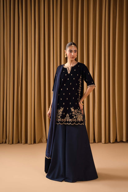 Pure Velvet Navy Blue Embroidered Dress - VC021