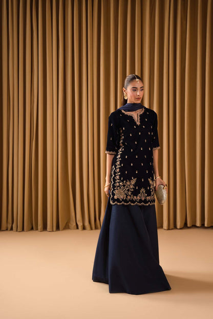 Pure Velvet Navy Blue Embroidered Dress - VC021