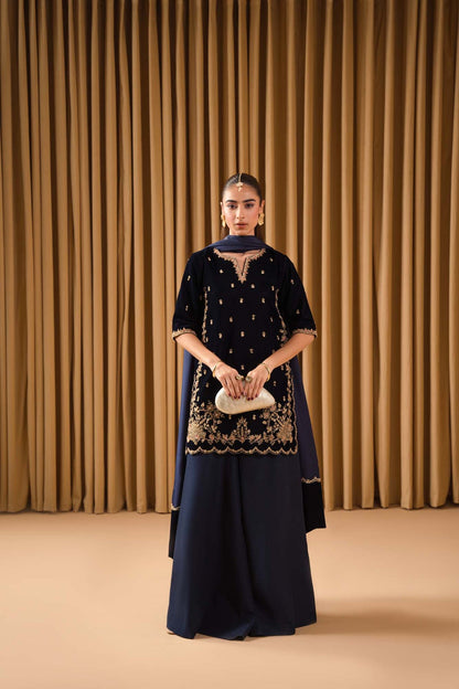 Pure Velvet Navy Blue Embroidered Dress - VC021