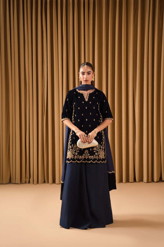 Pure Velvet Navy Blue Embroidered Dress - VC021