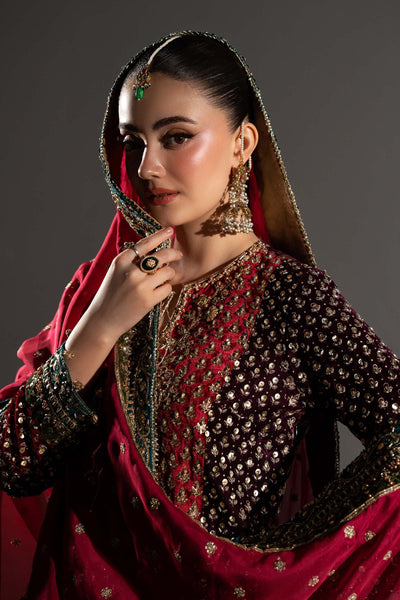 Pure Velvet Black Embroidered Wedding Dress - WW603