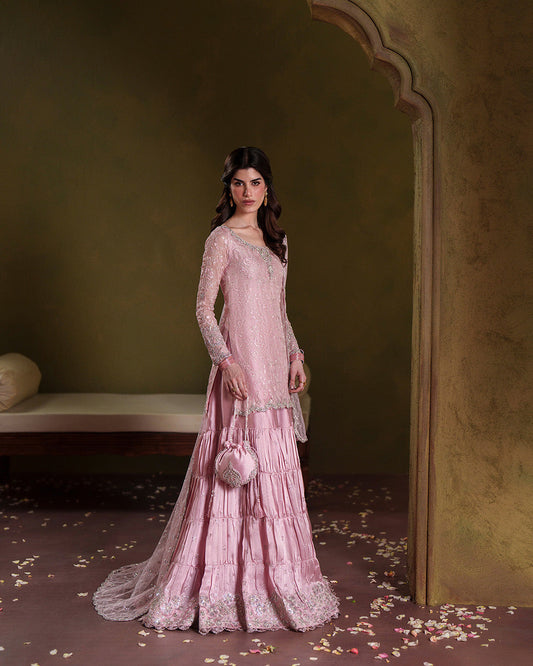 Pure Chiffon Baby Pink Embroidered Dress - WW529