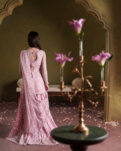 Pure Chiffon Baby Pink Embroidered Dress - WW529