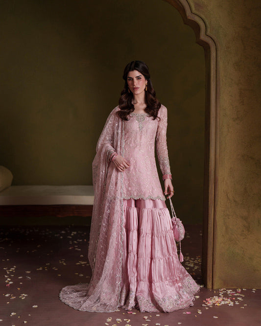 Pure Chiffon Baby Pink Embroidered Dress - WW529