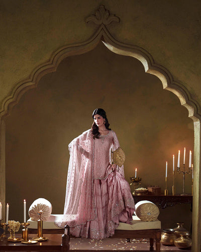 Pure Chiffon Baby Pink Embroidered Dress - WW529