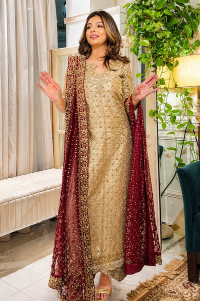 Pure Mysoori Gold & Mahroon Embroidered Dress - WW524