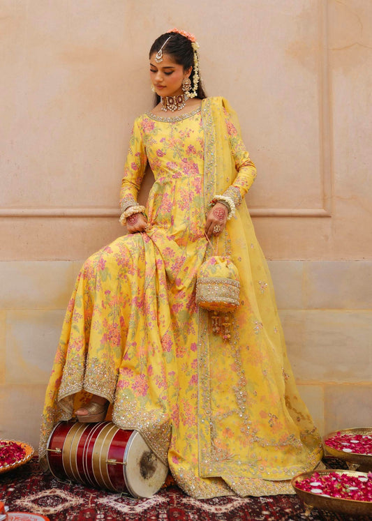 Pure Shamouse Silk Mayo Embroidered Dress - WW521