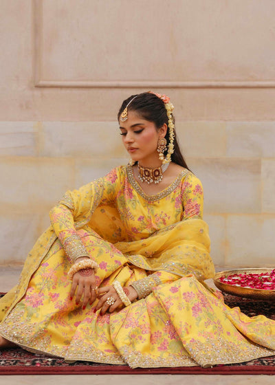 Pure Shamouse Silk Mayo Embroidered Dress - WW521