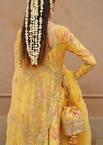 Pure Shamouse Silk Mayo Embroidered Dress - WW521