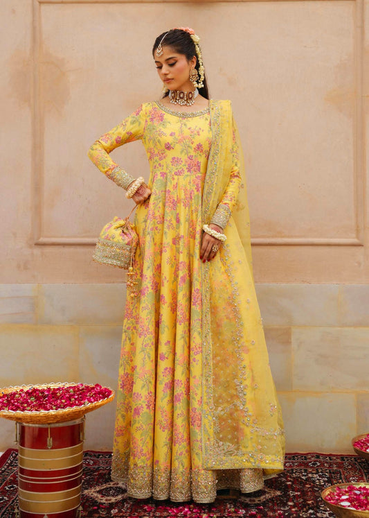 Pure Shamouse Silk Mayo Embroidered Dress - WW521
