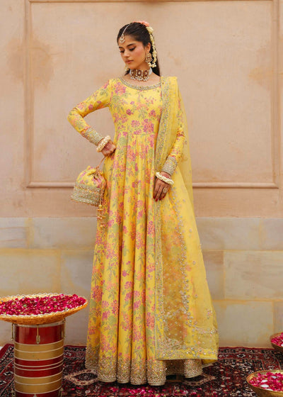 Pure Shamouse Silk Mayo Embroidered Dress - WW521