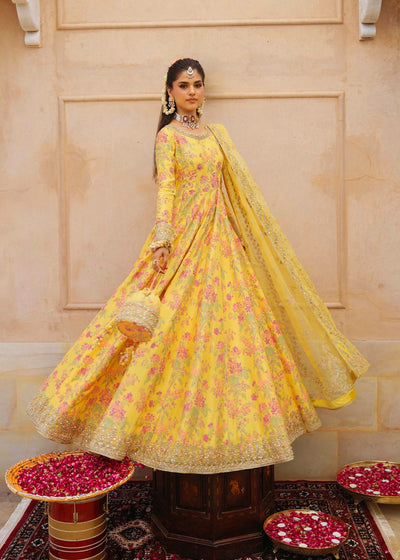 Pure Shamouse Silk Mayo Embroidered Dress - WW521
