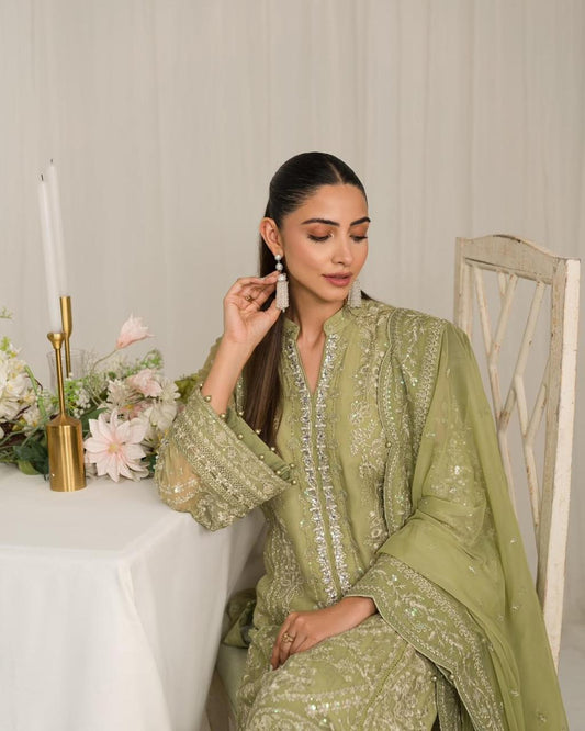 Pure Chiffon Pista Green Embroidered Dress - WW507