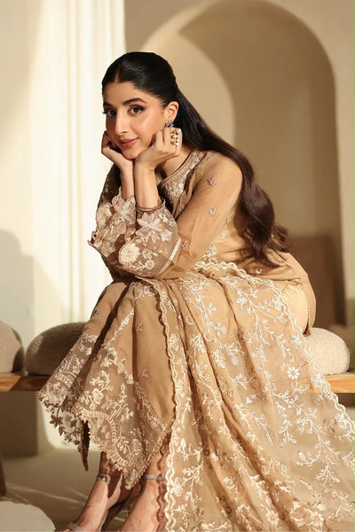 Pure Chiffon Brown Embroidered Dress - WW503