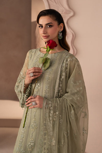 Pure Chiffon Pista Green Embroidered Dress - WW533