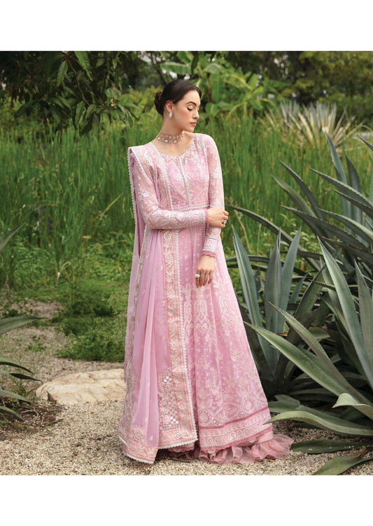 Pure Chiffon Pink Embroidered Dress : WW122