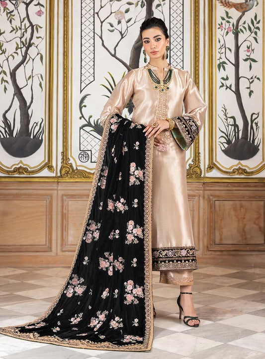 Pure Mysoori Embroidered Dress With Pure Velvet Shawl - VC002