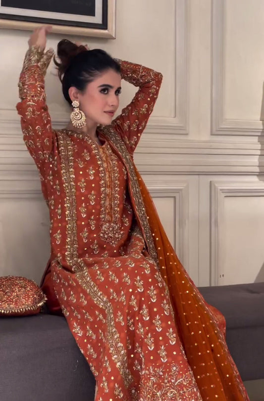 Pure Chiffon Rust Embroidered Dress - WW287