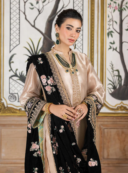 Pure Mysoori Embroidered Dress With Pure Velvet Shawl - VC002