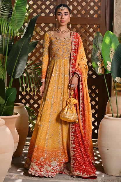 Pure Chiffon Embroidered Wedding Chunri Dress - WW489