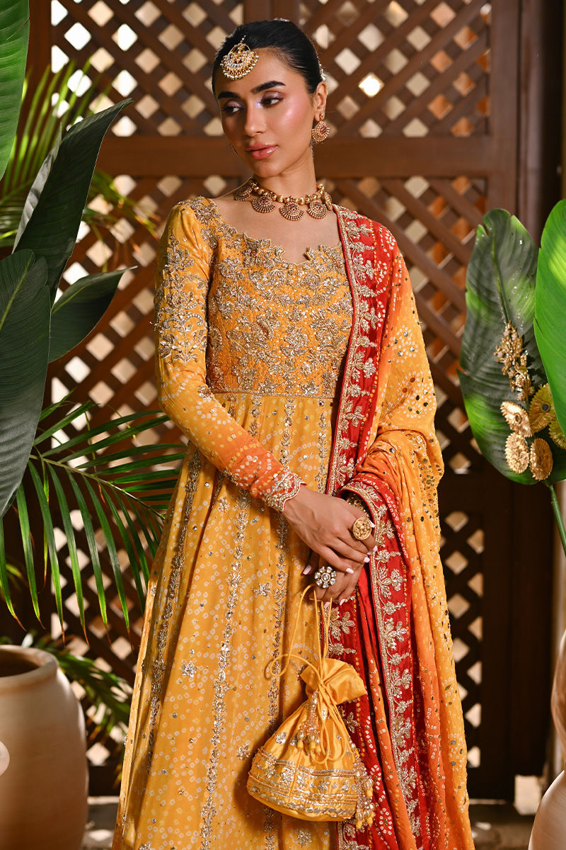 Pure Chiffon Embroidered Wedding Chunri Dress - WW489