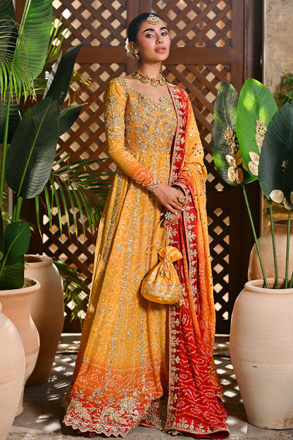 Pure Chiffon Embroidered Wedding Chunri Dress - WW489