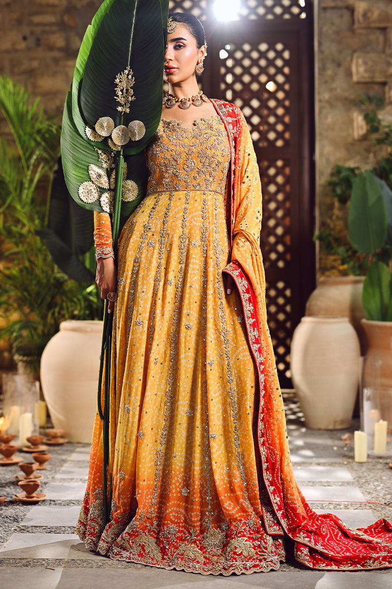 Pure Chiffon Embroidered Wedding Chunri Dress