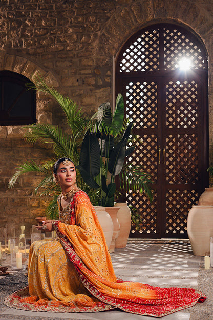 Pure Chiffon Embroidered Wedding Chunri Dress - WW489